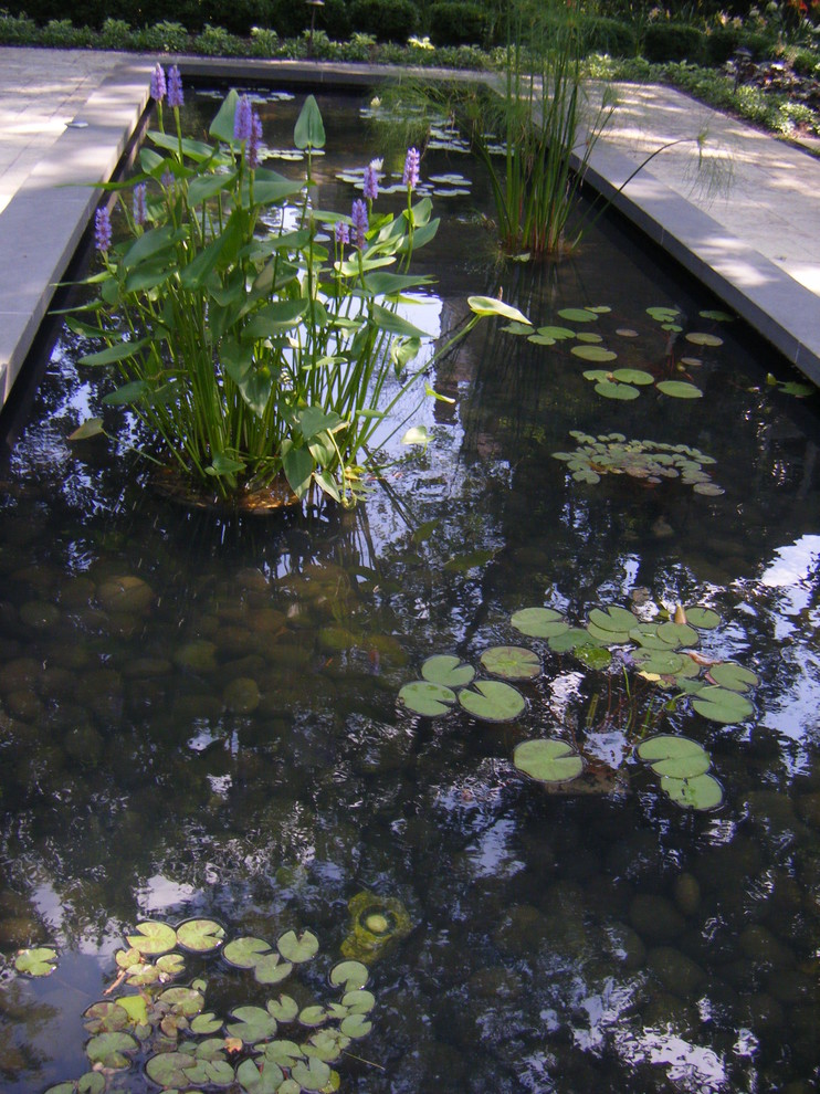 Exemple d'un jardin arrière asiatique de taille moyenne avec un bassin, une exposition ombragée et des pavés en pierre naturelle.