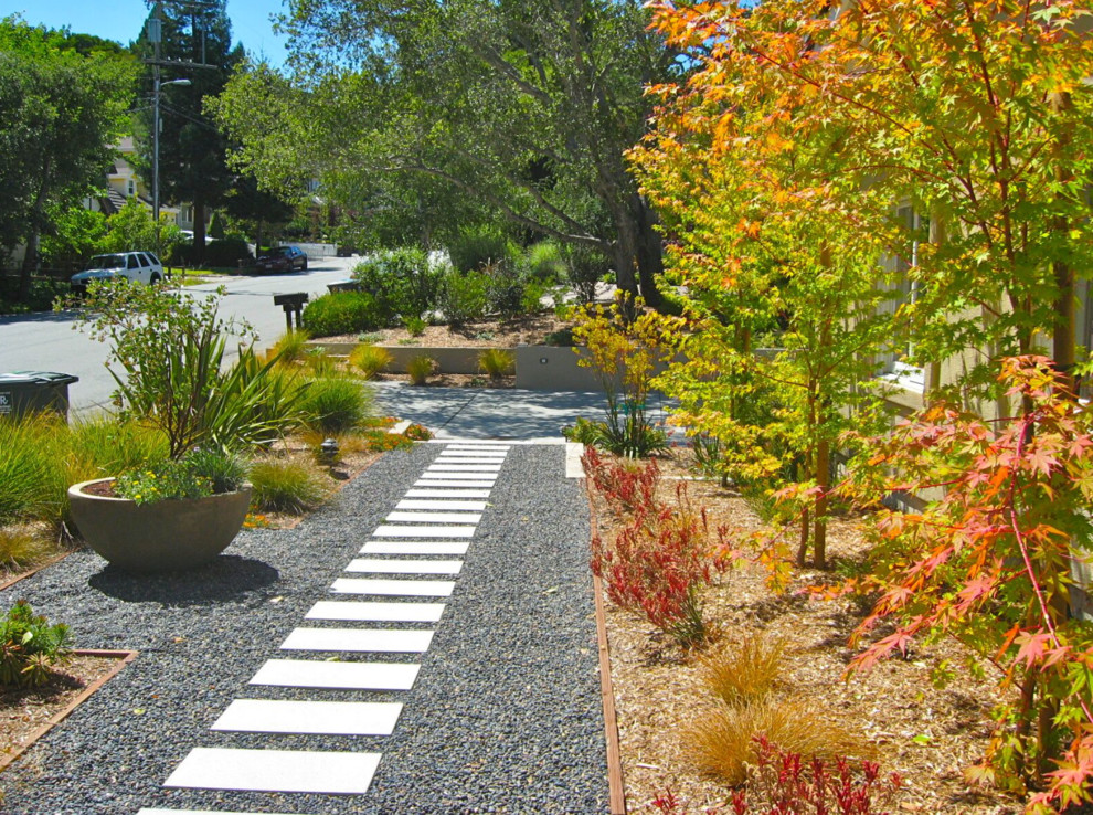サンフランシスコにある中くらいなトランジショナルスタイルのおしゃれな横庭 (庭への小道、半日向、砂利舗装) の写真