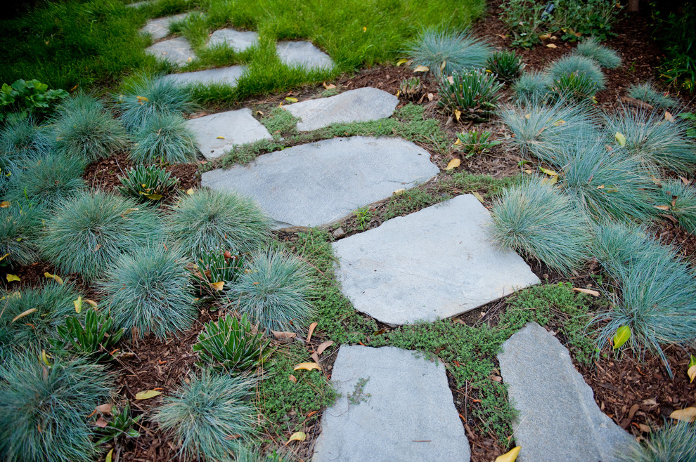 Design ideas for a transitional drought-tolerant and shade backyard stone garden path in Los Angeles.