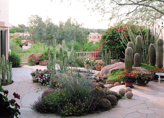 Design ideas for a mediterranean garden in Phoenix.