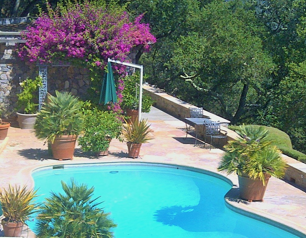 Idées déco pour un grand jardin à la française arrière méditerranéen l'été avec une exposition ensoleillée et une terrasse en bois.