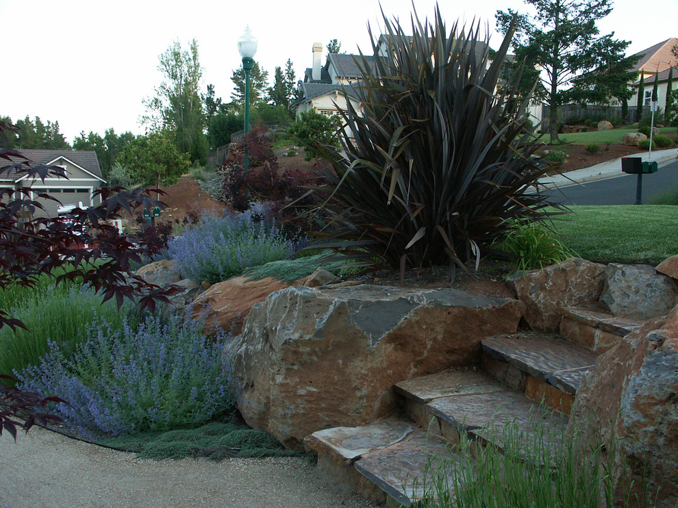 Photo of a large mediterranean full sun front yard gravel landscaping in San Francisco for summer.