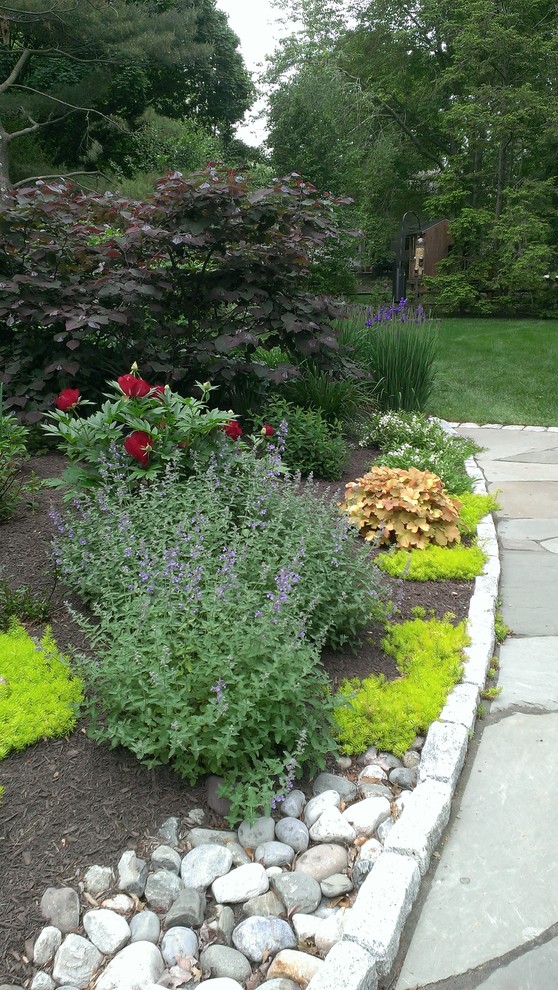 Flagstone Walkway & Privacy Planting - Transitional - Landscape ...