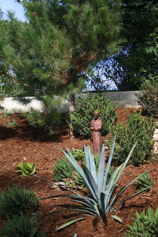 Photo of a mediterranean landscaping in San Diego.