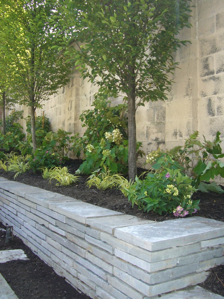 Foto di un grande giardino formale moderno esposto a mezz'ombra dietro casa in estate con pacciame e un muro di contenimento