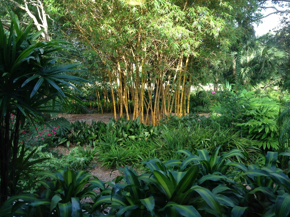 Mittelgroßer Eklektischer Vorgarten mit direkter Sonneneinstrahlung in Tampa