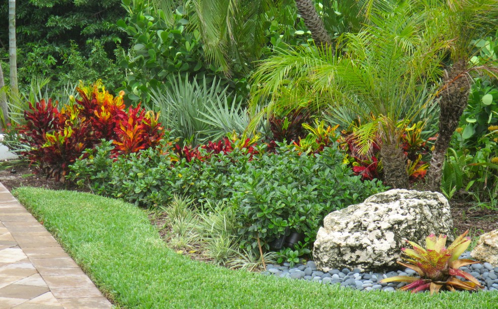 Ispirazione per un giardino tropicale davanti casa