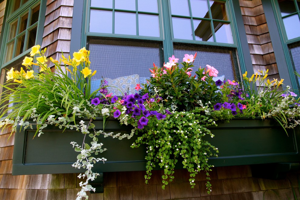 Immagine di un giardino chic esposto a mezz'ombra dietro casa in estate con un giardino in vaso