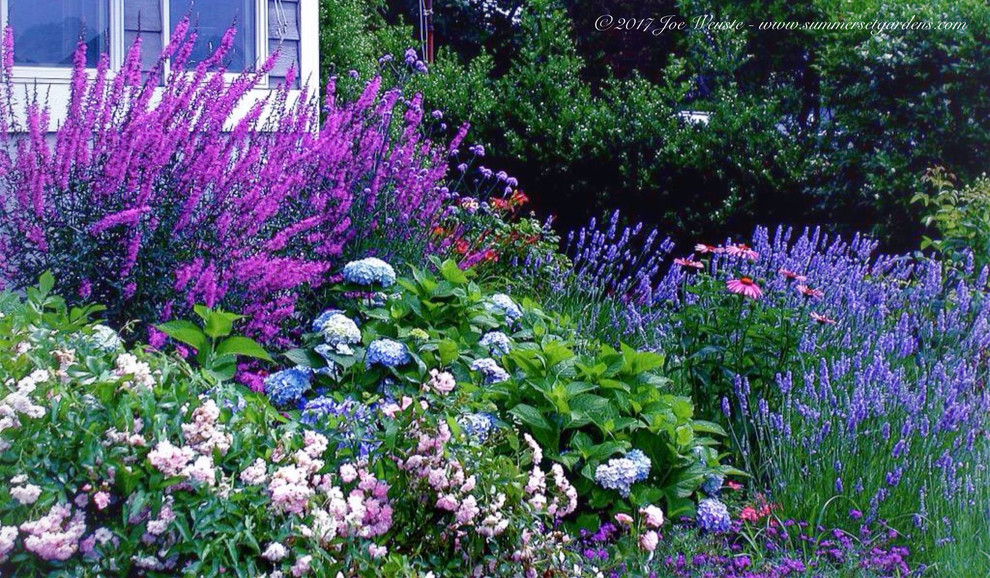 Esempio di un piccolo giardino classico esposto in pieno sole dietro casa in estate