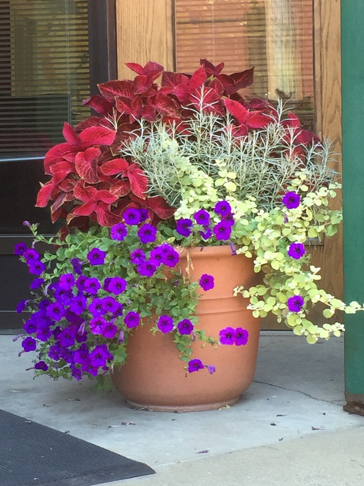 Ispirazione per un piccolo giardino classico esposto in pieno sole davanti casa con un giardino in vaso e pavimentazioni in pietra naturale