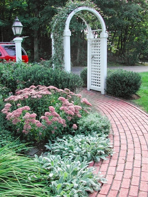 Immagine di un giardino xeriscape tradizionale in ombra di medie dimensioni e davanti casa in estate con pavimentazioni in mattoni