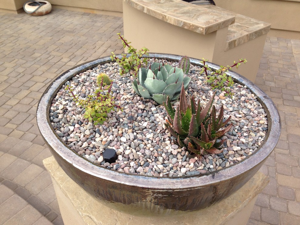 Inspiration for a mid-sized traditional courtyard concrete paver landscaping in Phoenix for summer.