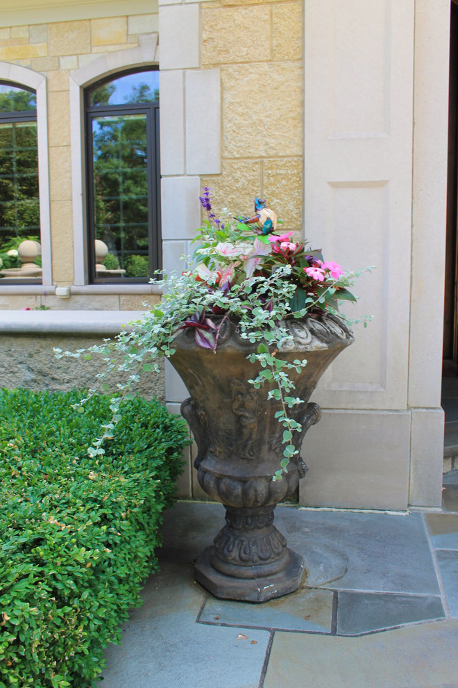 Idee per un piccolo giardino tradizionale esposto in pieno sole in estate con un giardino in vaso