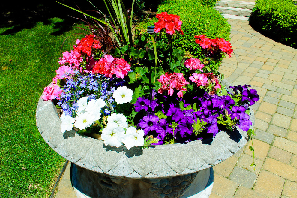 Esempio di un piccolo giardino chic esposto in pieno sole in estate con un giardino in vaso