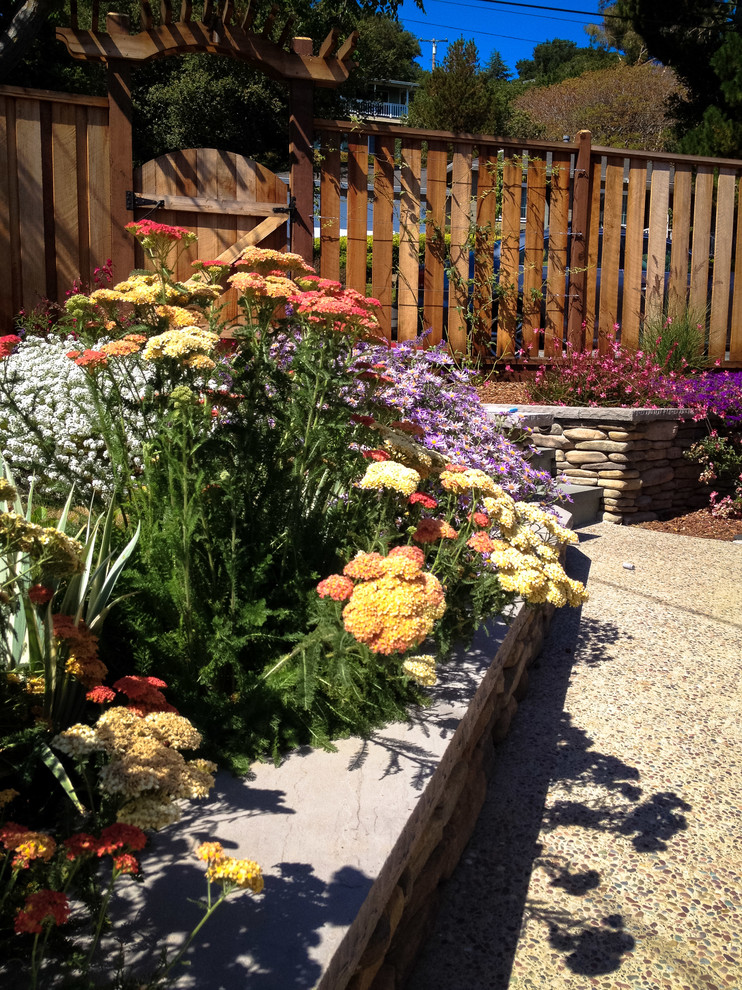На фото: маленький солнечный регулярный сад на заднем дворе в современном стиле с садовой дорожкой или калиткой, хорошей освещенностью и покрытием из каменной брусчатки для на участке и в саду