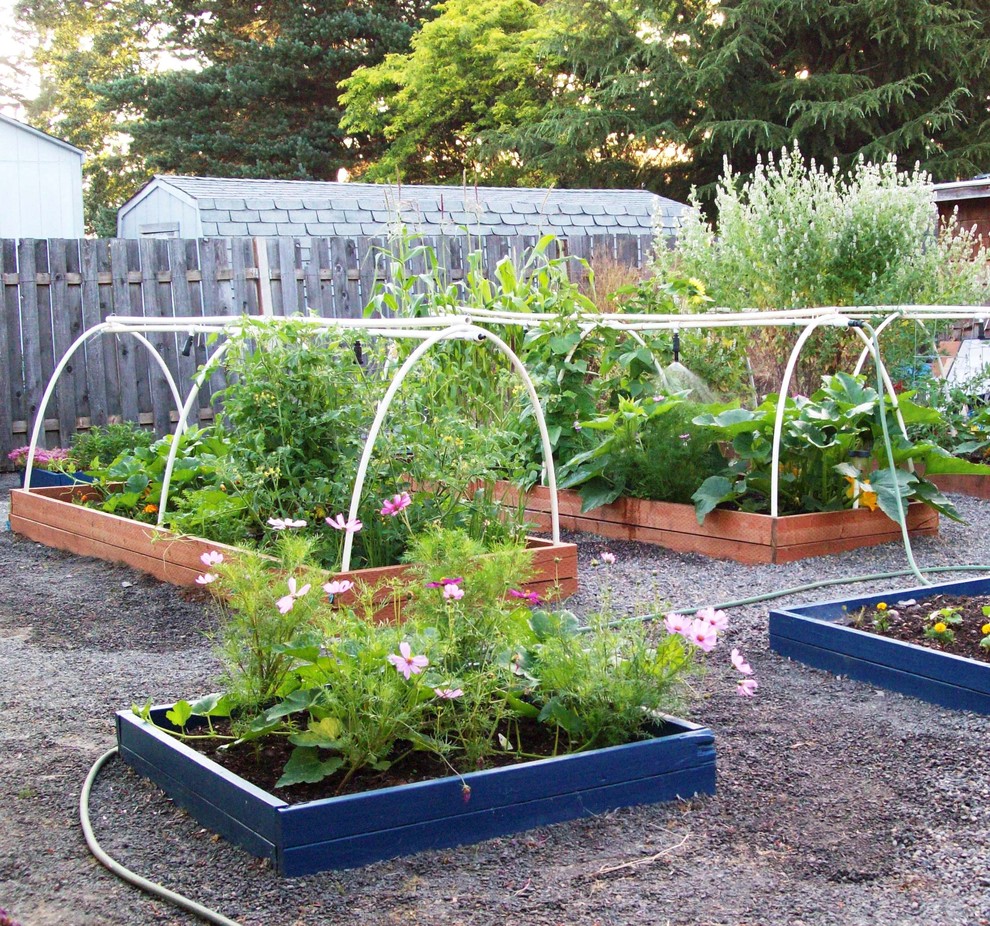 Photo of a traditional back full sun garden with a vegetable patch.