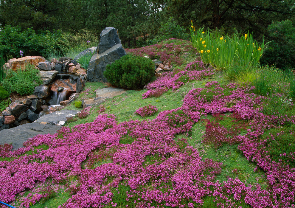 Imagen de jardín asiático con roca decorativa