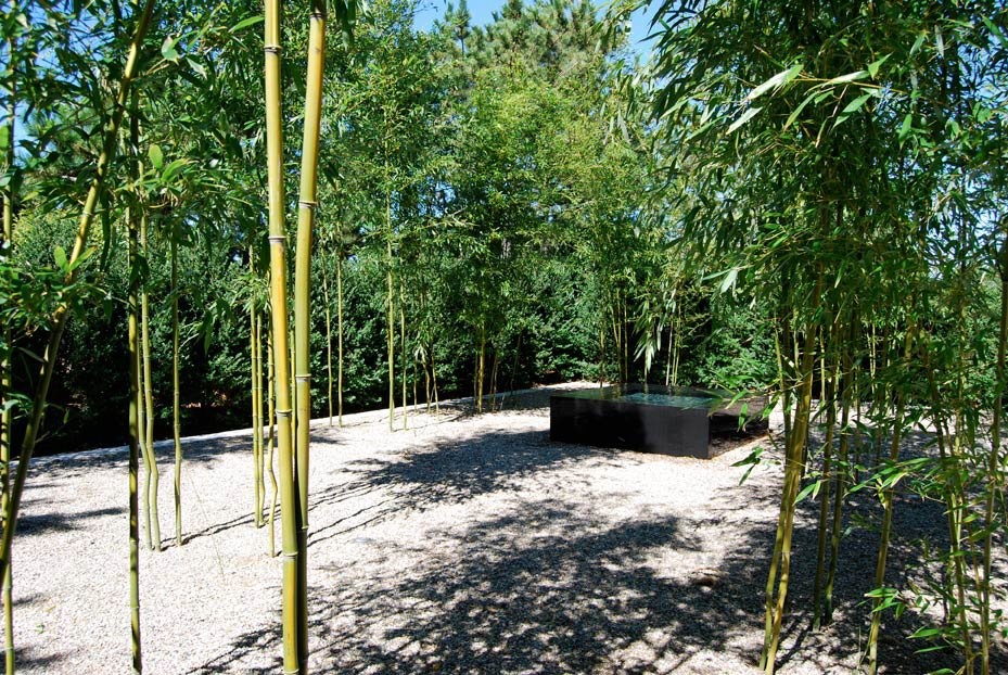Ispirazione per un giardino minimalista esposto a mezz'ombra di medie dimensioni e nel cortile laterale in estate con fontane e ghiaia