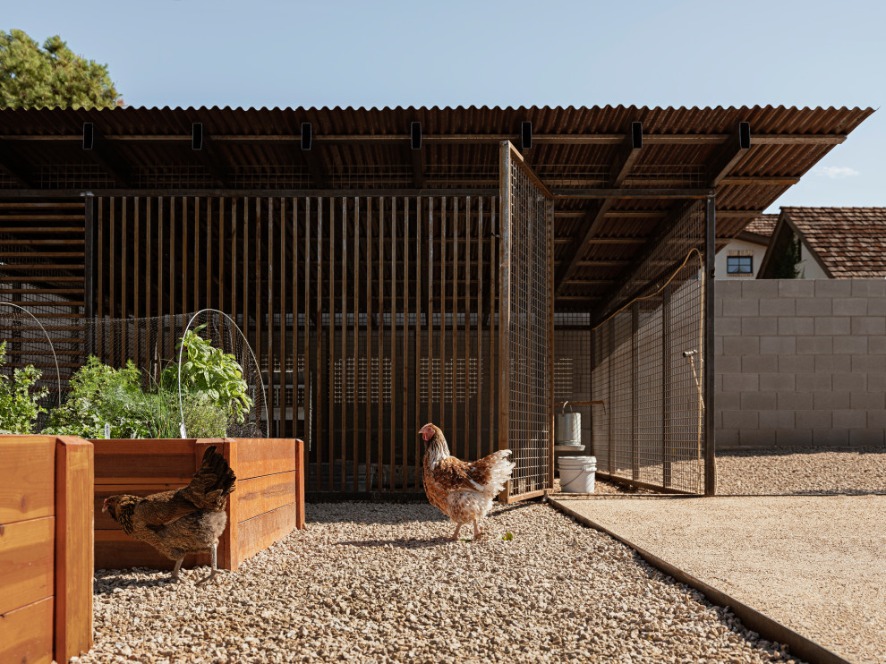 Источник вдохновения для домашнего уюта: участок и сад в стиле модернизм с пустынными растениями и покрытием из гранитной крошки