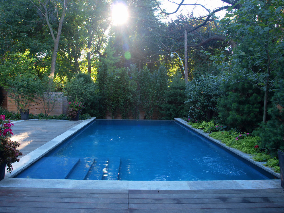 Cette image montre une piscine arrière minimaliste de taille moyenne avec une terrasse en bois.