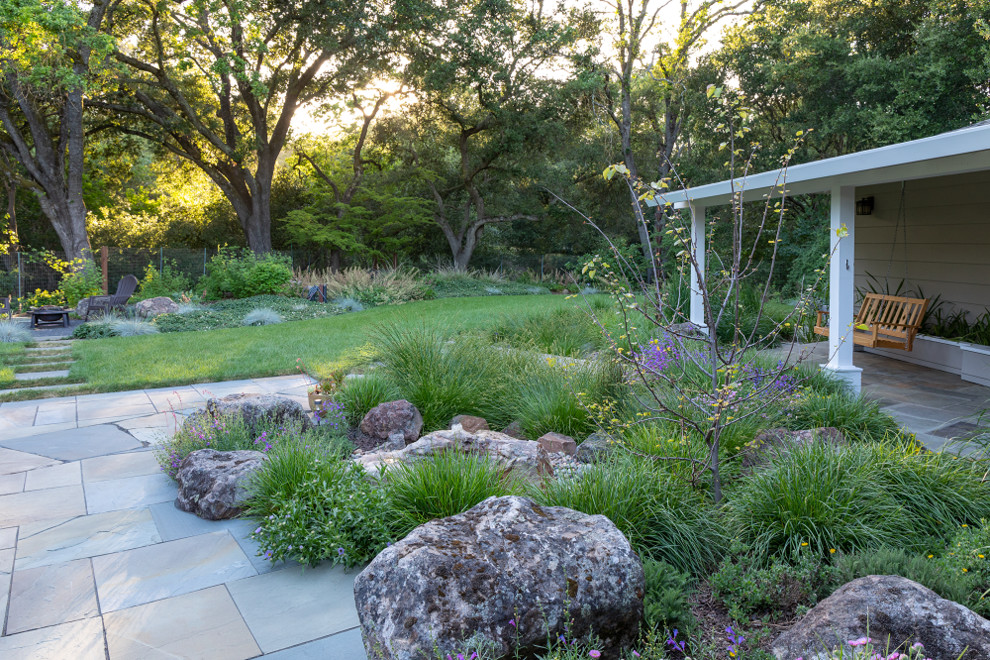 Design ideas for a mid-sized contemporary drought-tolerant backyard landscaping in San Francisco.