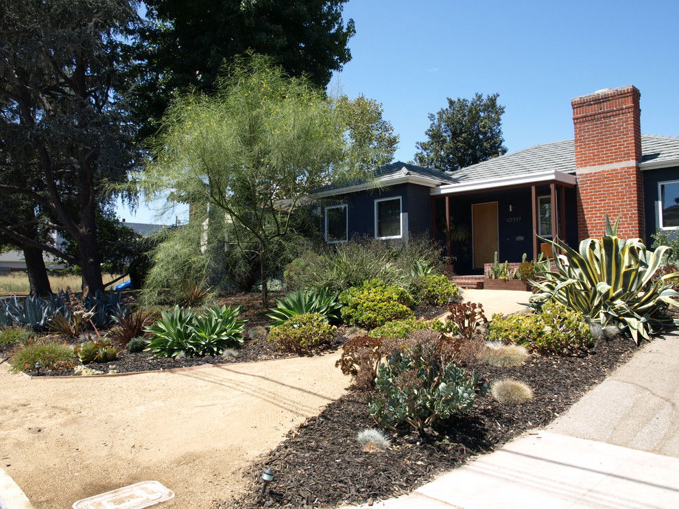 Идея дизайна: засухоустойчивый сад среднего размера на переднем дворе в современном стиле