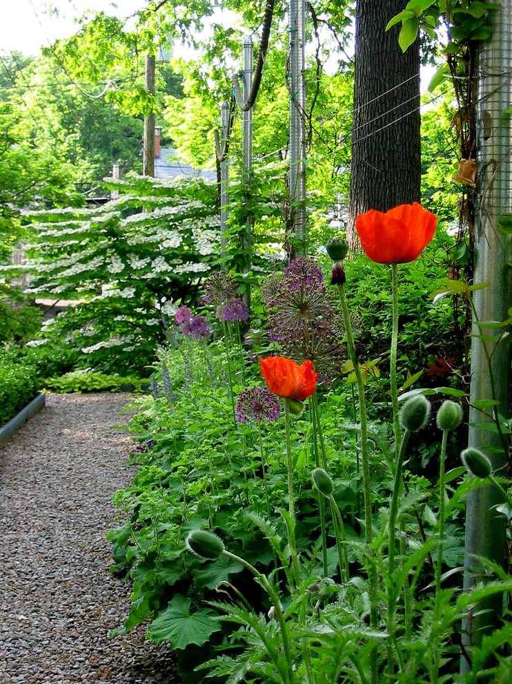 Foto di un piccolo giardino formale tradizionale esposto a mezz'ombra davanti casa in primavera con ghiaia e un ingresso o sentiero