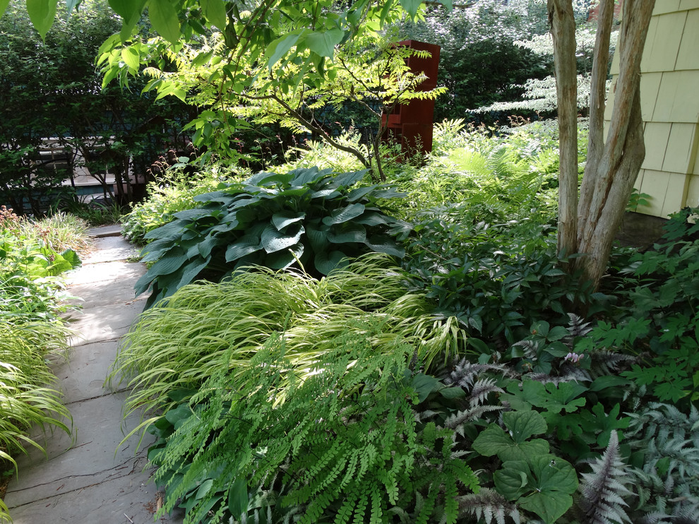 Foto di un piccolo giardino xeriscape design in ombra dietro casa in estate con un ingresso o sentiero e pavimentazioni in pietra naturale