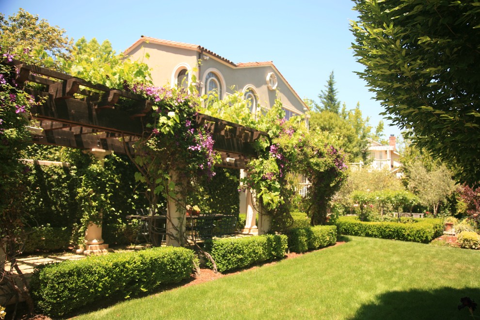 Photo of a mediterranean garden in San Francisco.