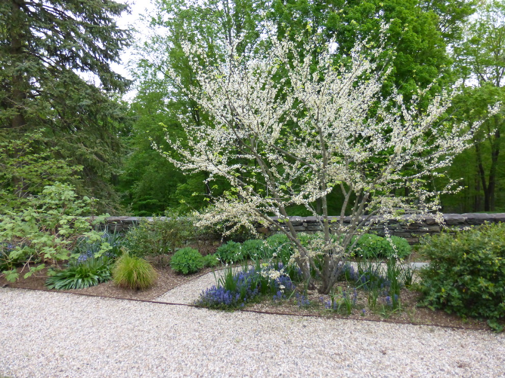Imagen de camino de jardín clásico extra grande en primavera en patio trasero con jardín francés, exposición parcial al sol y gravilla