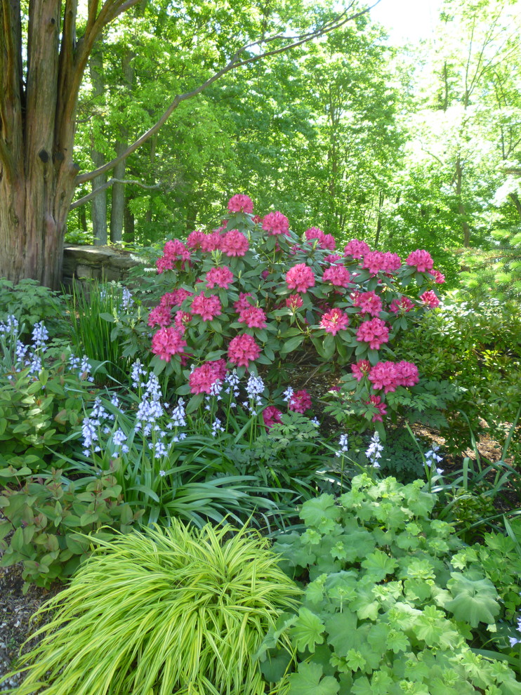 Exempel på en mycket stor klassisk trädgård i skuggan på våren, med en trädgårdsgång och grus