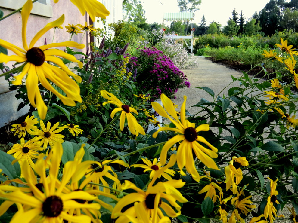 Formal Gardens with Native Plants Traditional Landscape Chicago