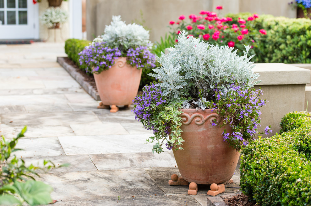 Ispirazione per un piccolo giardino formale chic esposto in pieno sole in cortile con un giardino in vaso e pavimentazioni in mattoni