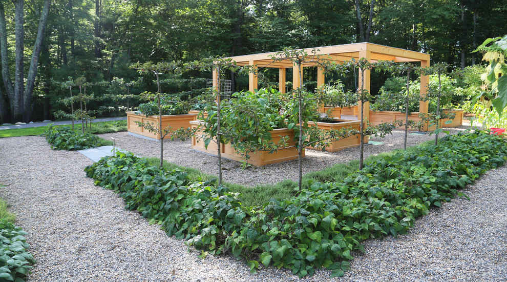 Réalisation d'un jardin arrière tradition l'été avec une exposition ensoleillée et du gravier.