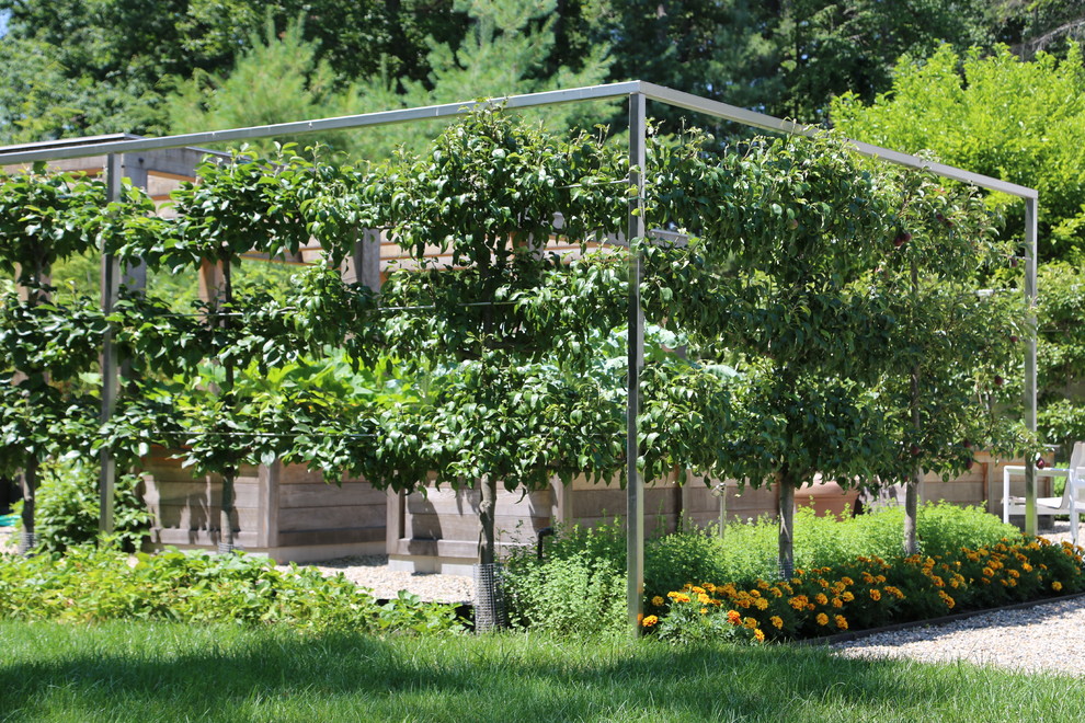 Immagine di un giardino tradizionale esposto in pieno sole dietro casa in estate con pavimentazioni in pietra naturale