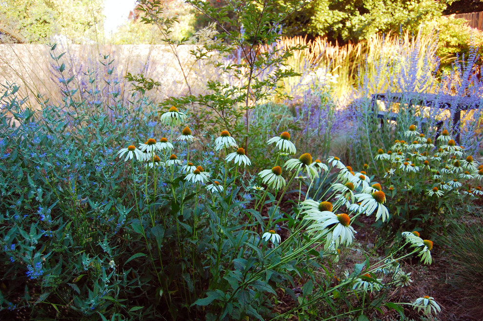 Inspiration for a mid-sized traditional drought-tolerant and full sun backyard gravel landscaping in Portland.