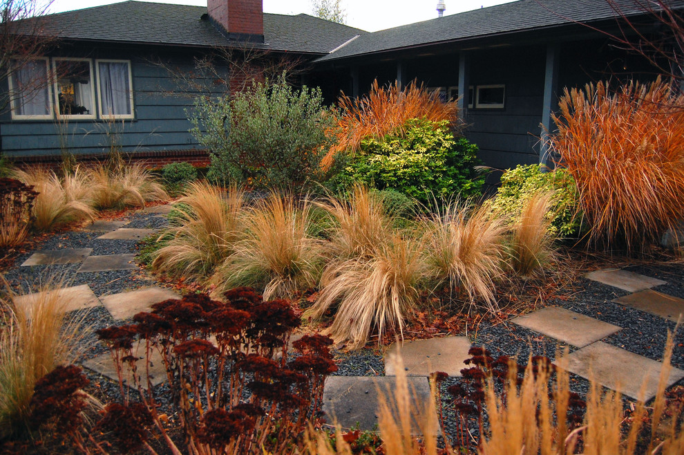 Diseño de jardín de secano contemporáneo de tamaño medio en otoño en patio delantero con exposición total al sol y adoquines de hormigón