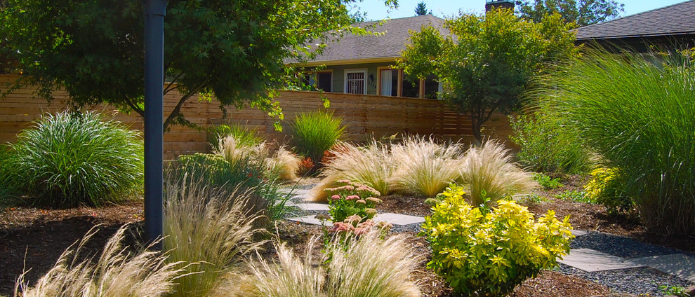 Пример оригинального дизайна: солнечный, осенний засухоустойчивый сад среднего размера на переднем дворе в современном стиле с хорошей освещенностью и мощением тротуарной плиткой