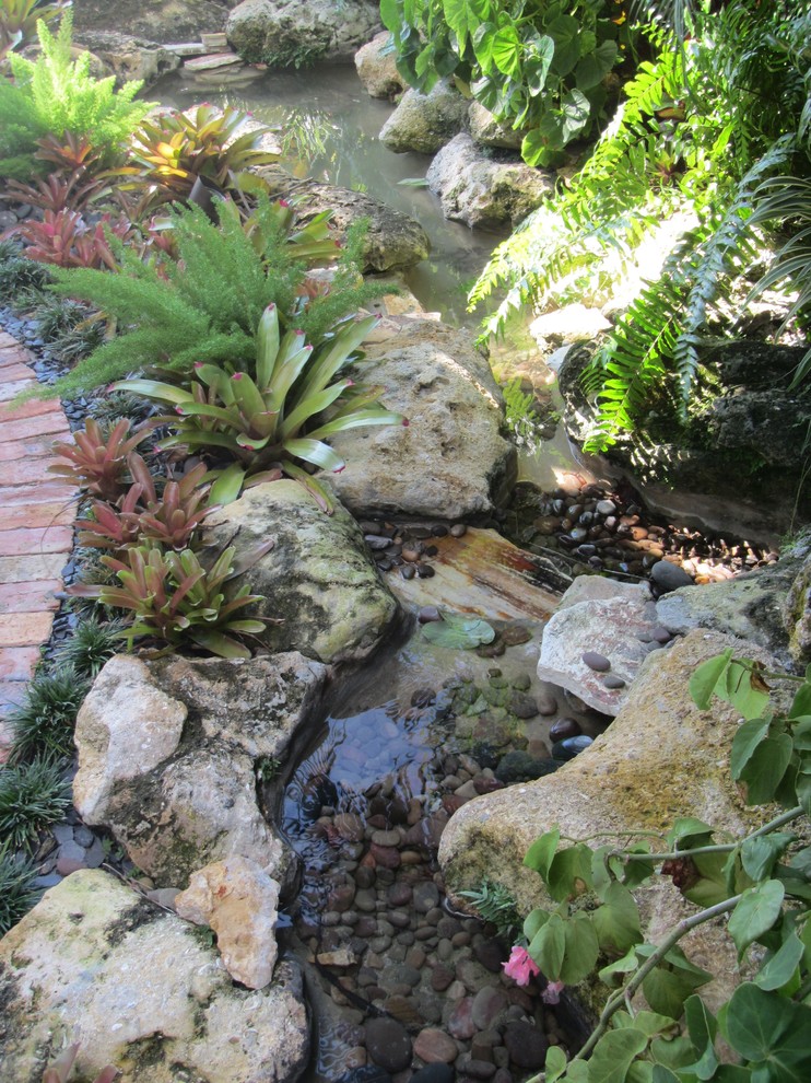 This is an example of a world-inspired garden in Miami.