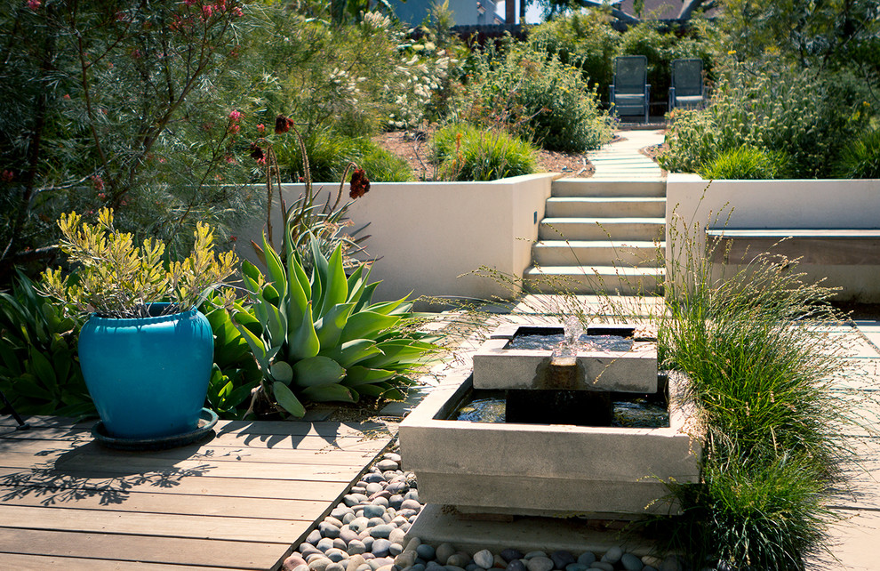 Foto de jardín de secano contemporáneo de tamaño medio en patio trasero con muro de contención y adoquines de hormigón