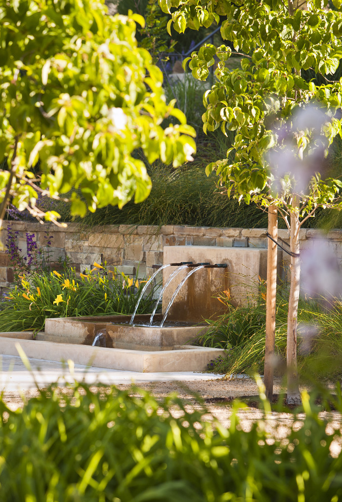 This is an example of a contemporary garden in San Francisco.