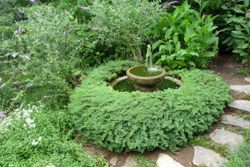 Idee per un giardino tradizionale esposto in pieno sole di medie dimensioni e dietro casa con fontane