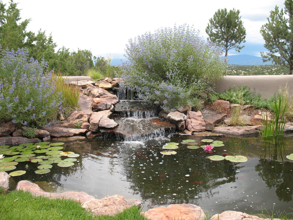 Modelo de jardín de estilo americano grande en patio trasero con estanque, exposición total al sol y mantillo
