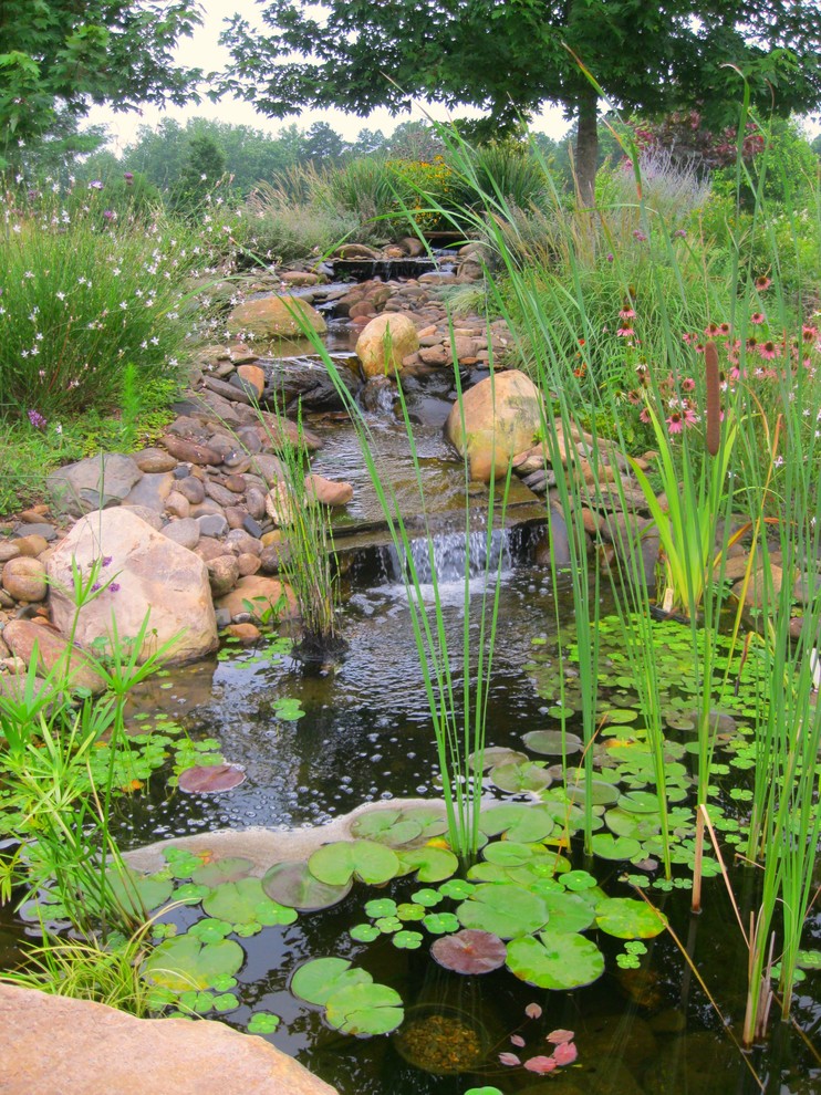 Inspiration pour un jardin traditionnel avec un point d'eau.