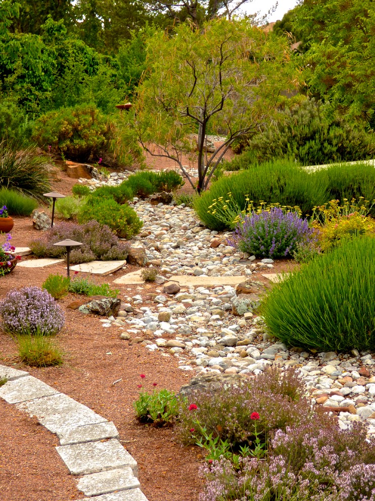 Exemple d'un jardin sud-ouest américain.