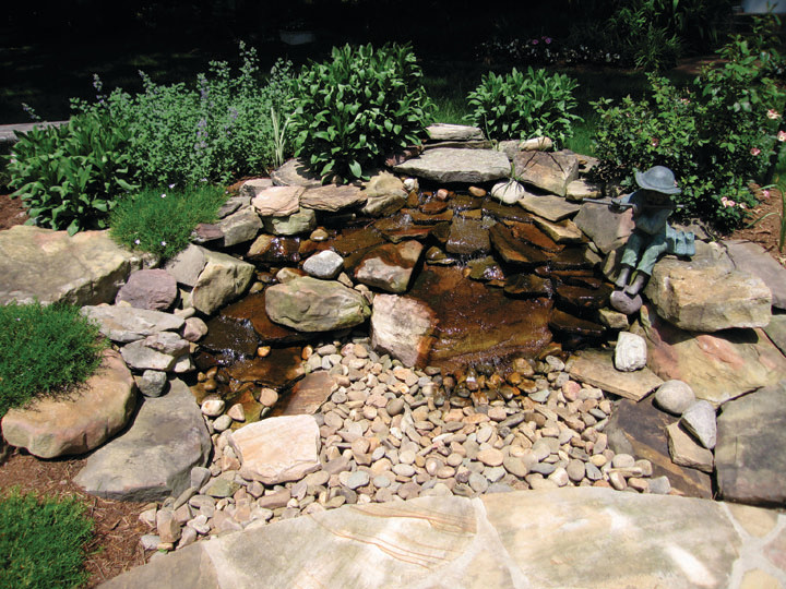 Стильный дизайн: большой сад с прудом на заднем дворе в стиле фьюжн с полуденной тенью и покрытием из каменной брусчатки - последний тренд