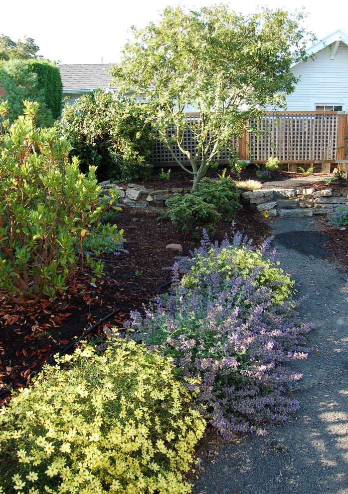 Пример оригинального дизайна: весенний участок и сад среднего размера на заднем дворе в стиле фьюжн