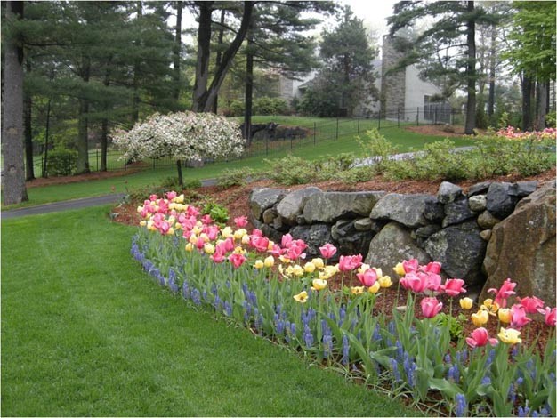 This is an example of a large contemporary partial sun front yard stone retaining wall landscape in Boston.