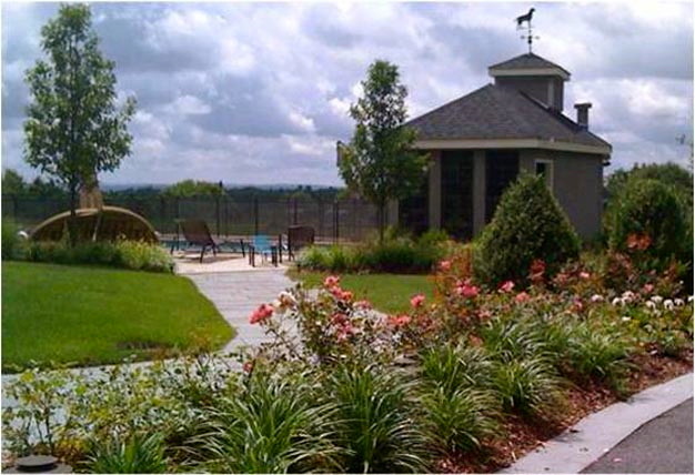 Пример оригинального дизайна: солнечный регулярный сад на заднем дворе в современном стиле с растениями в контейнерах, хорошей освещенностью и мощением тротуарной плиткой