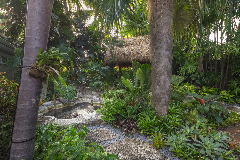 Foto di un giardino tropicale di medie dimensioni e nel cortile laterale